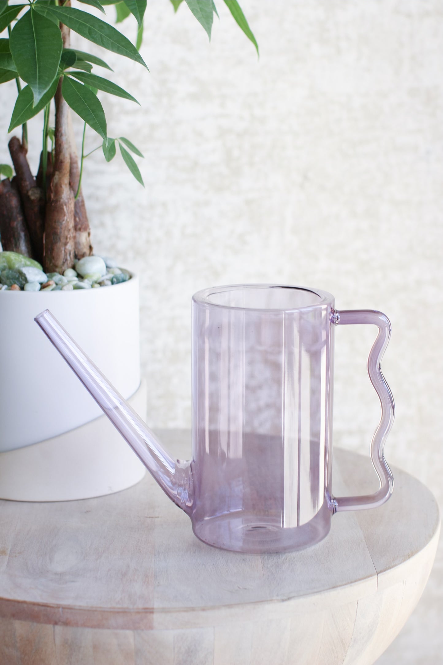 Positive Energy Money Tree + Watering Can Gift Set