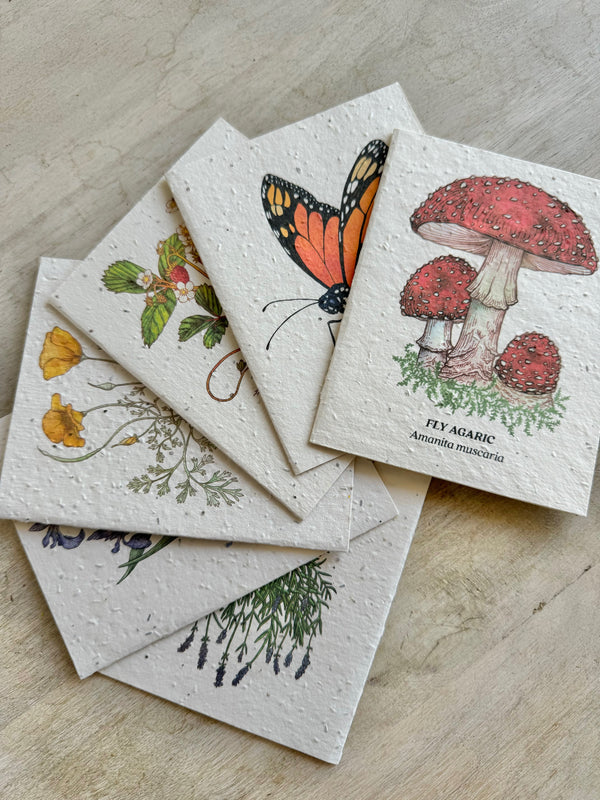Gift Add-Ons