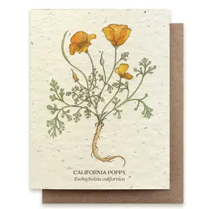 Plantable Wildflower Seed Card Add-On