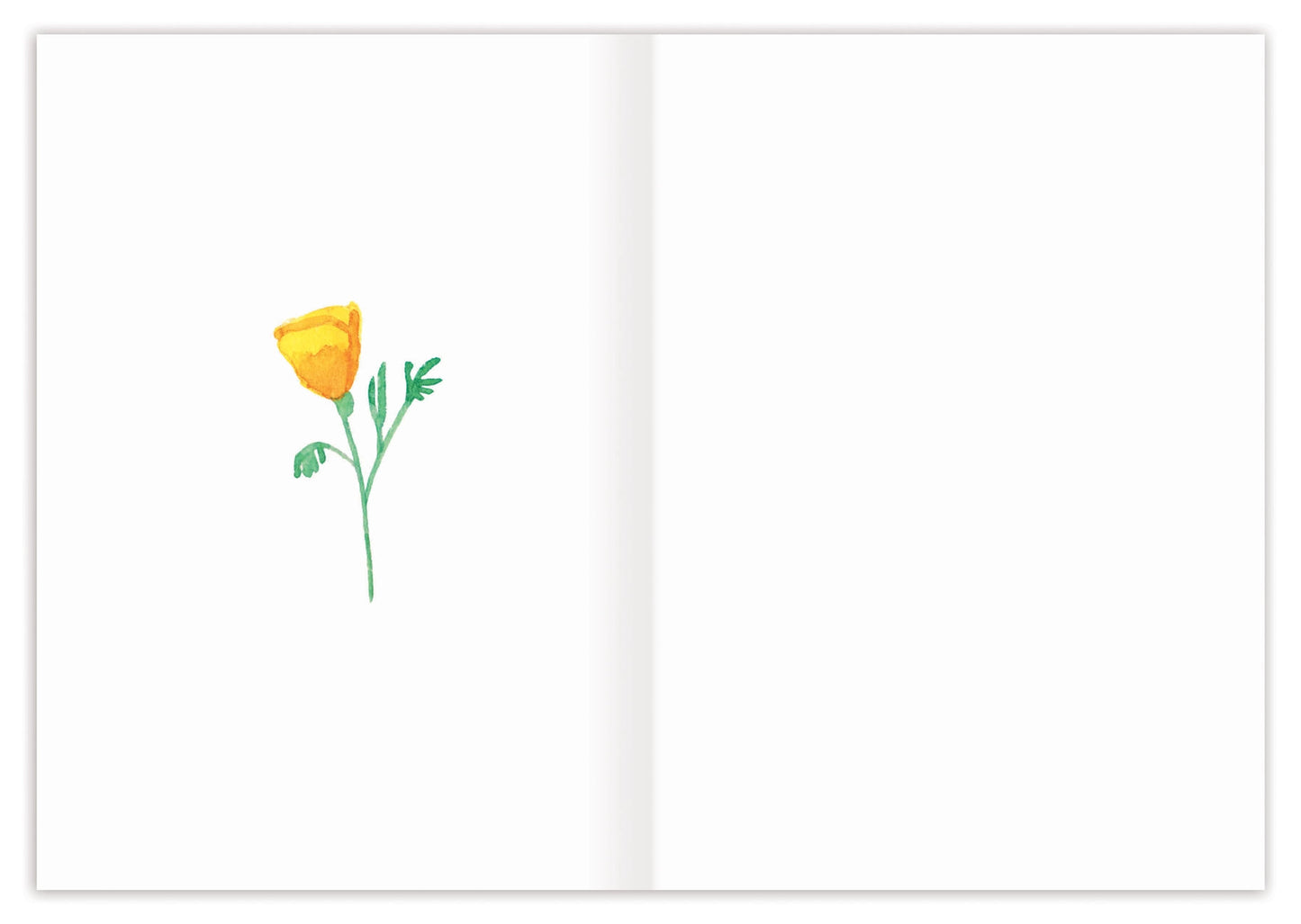 Yellow Poppies Get Well Card, Add-On Only