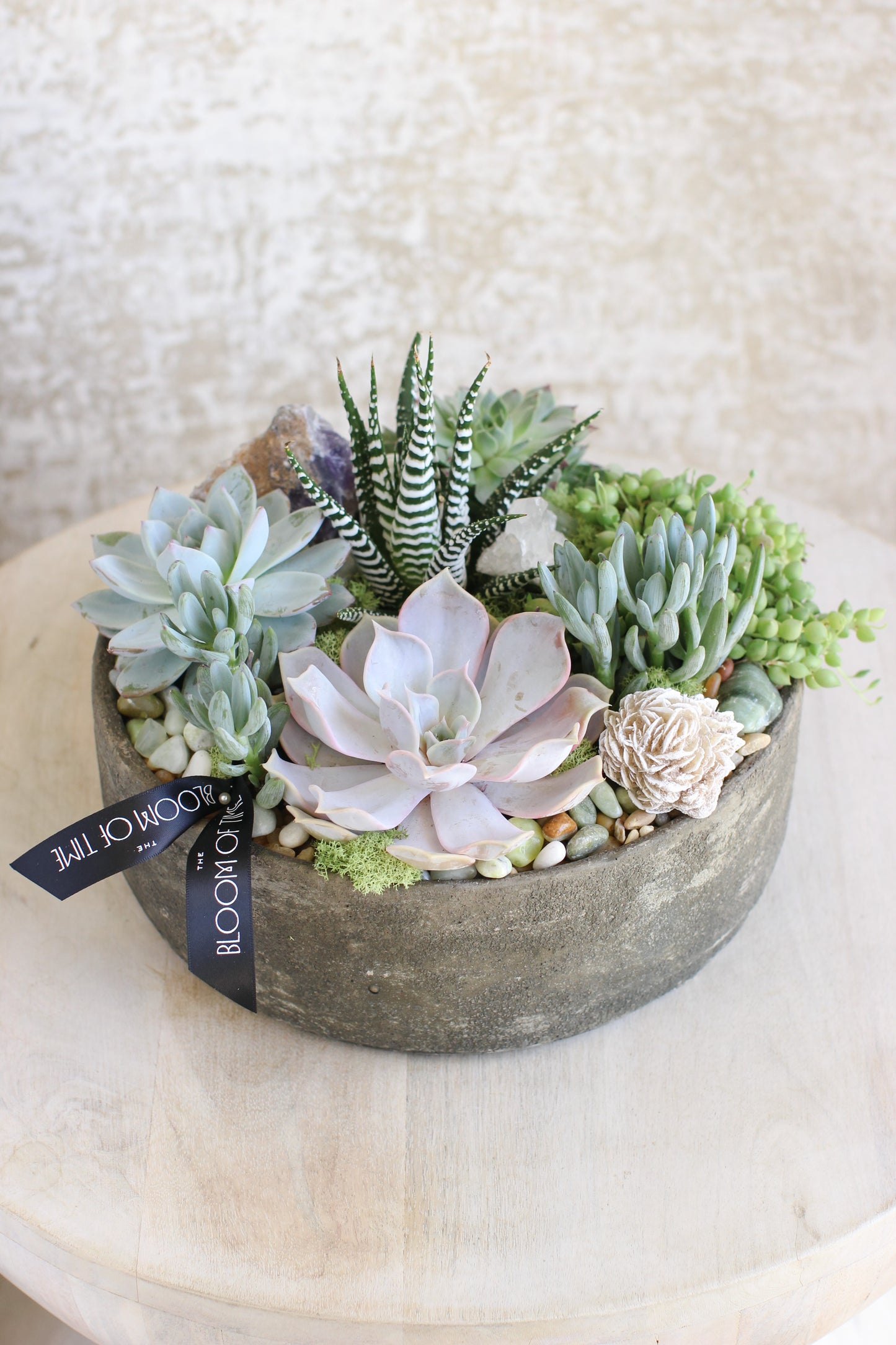 Succulent Rock Garden