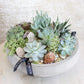 Succulent Rock Garden