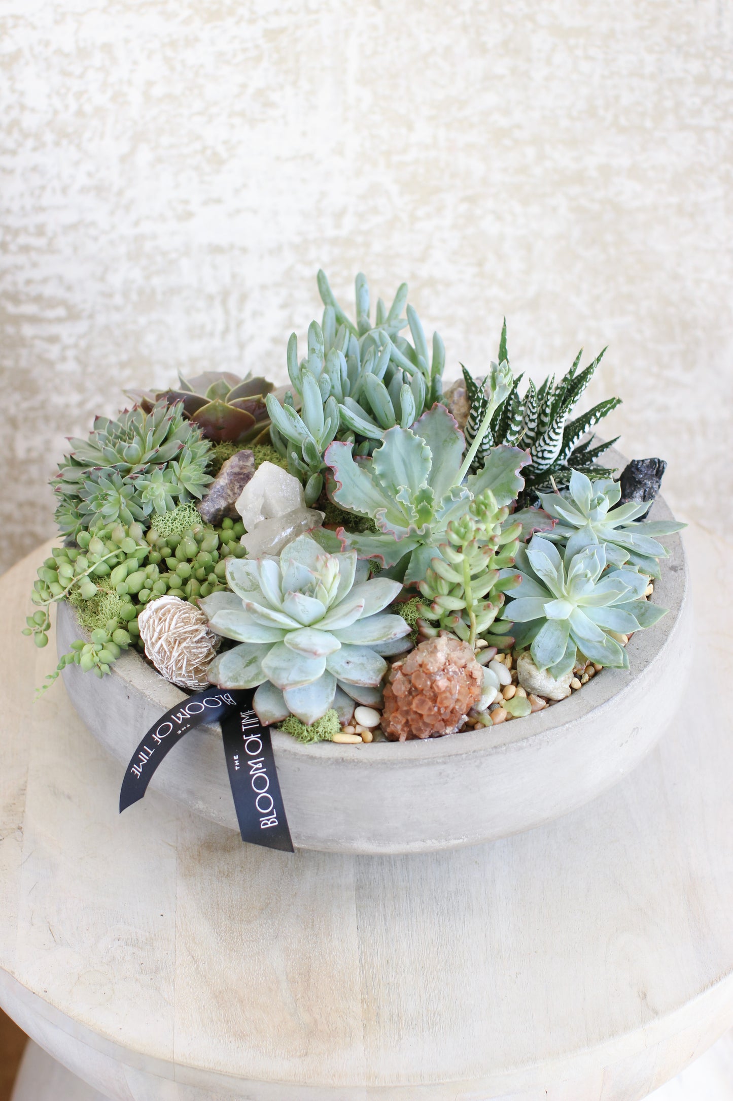 Succulent Rock Garden