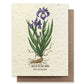 Plantable Wildflower Seed Card Add-On