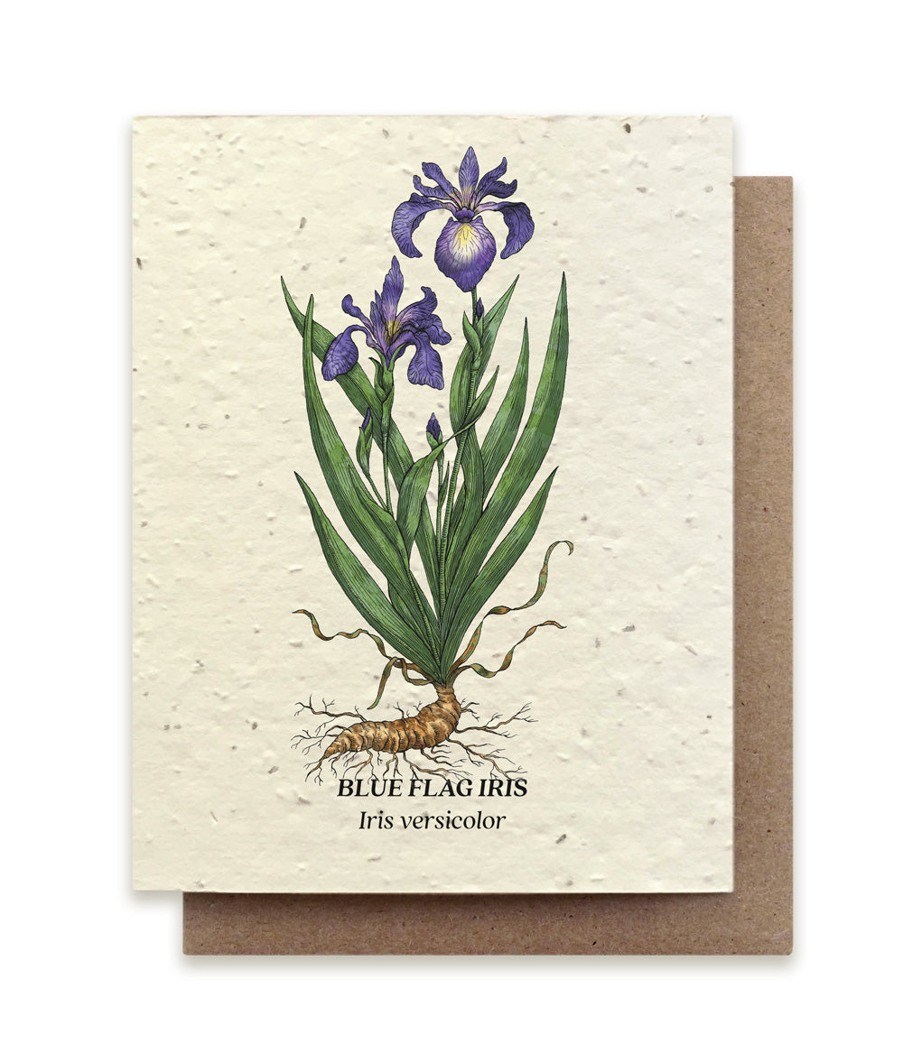 Plantable Wildflower Seed Card Add-On