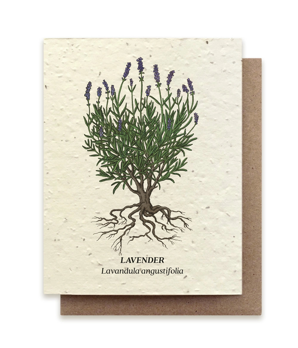 Plantable Wildflower Seed Card Add-On