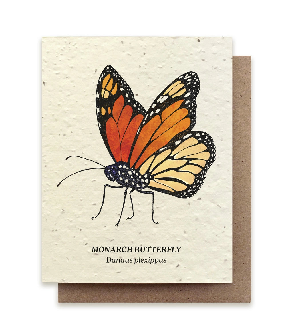 Plantable Wildflower Seed Card Add-On