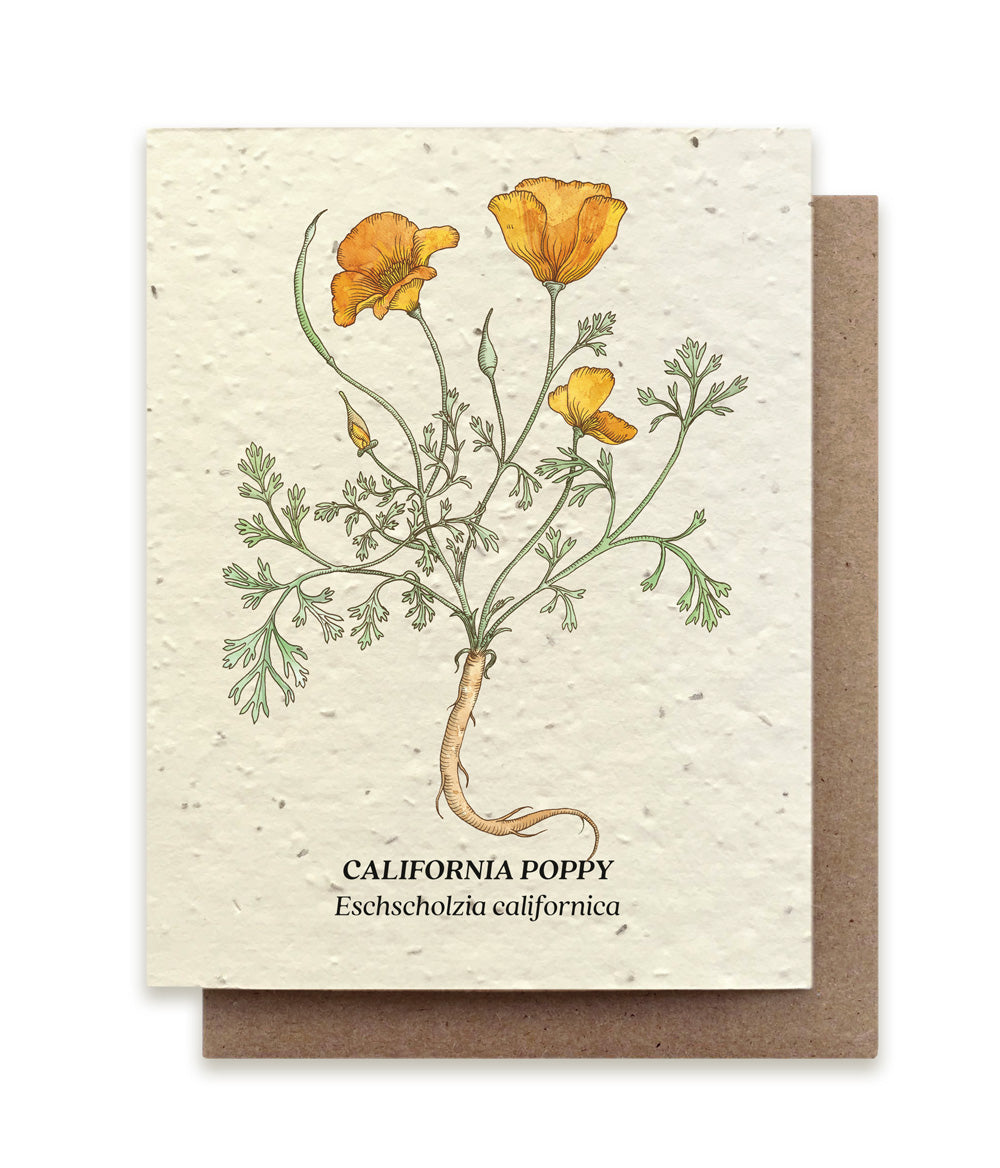 Plantable Wildflower Seed Card Add-On