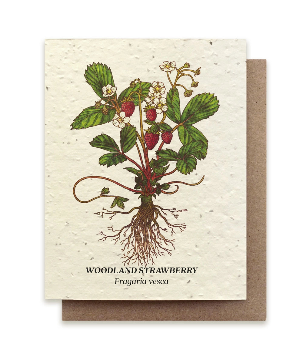 Plantable Wildflower Seed Card Add-On