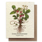 Plantable Wildflower Seed Card Add-On