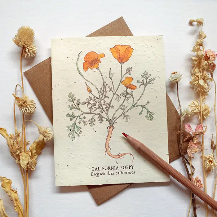 Plantable Wildflower Seed Card Add-On