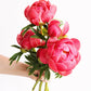 Seasonal Peonies - Limited Time Only!