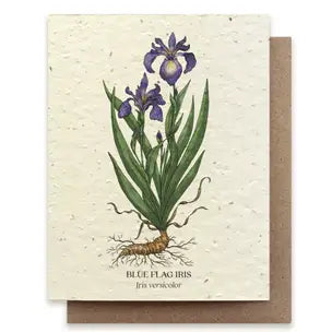 Plantable Wildflower Seed Card Add-On