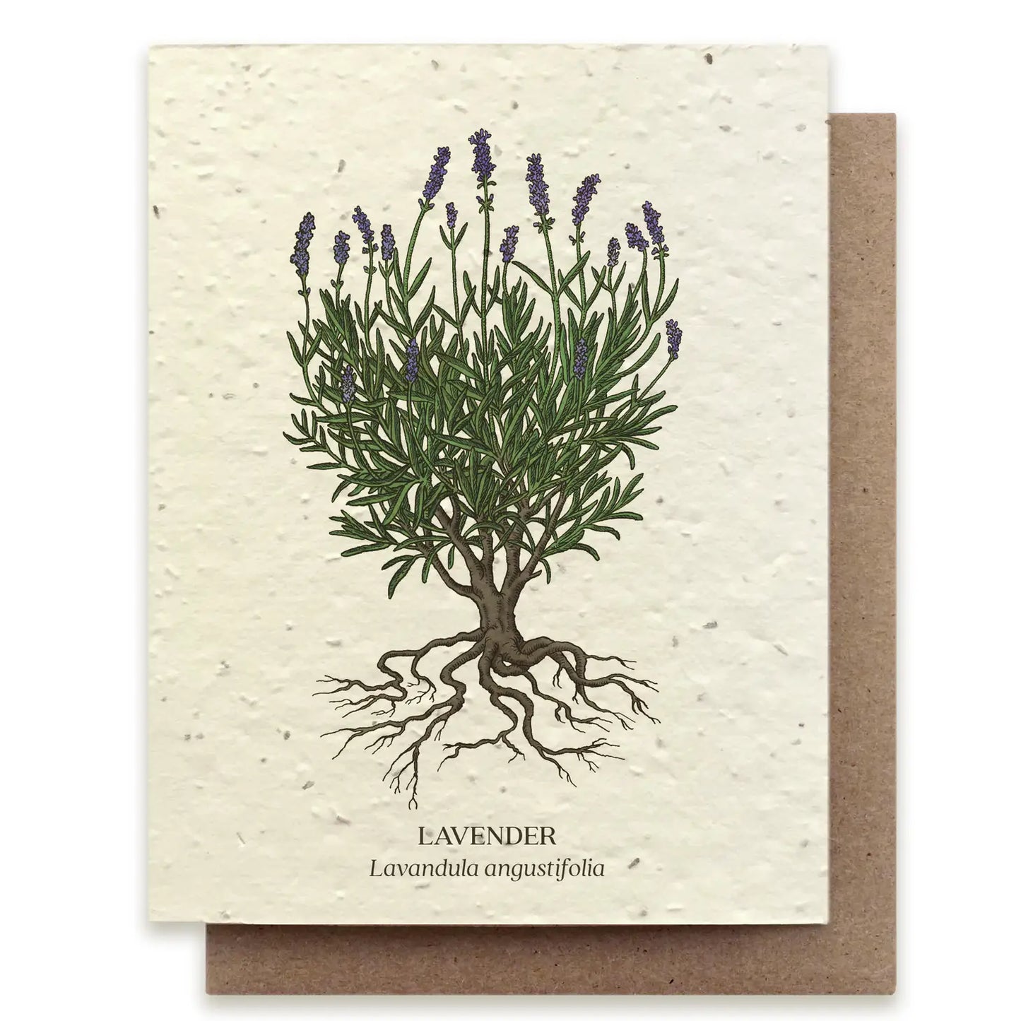 Plantable Wildflower Seed Card Add-On