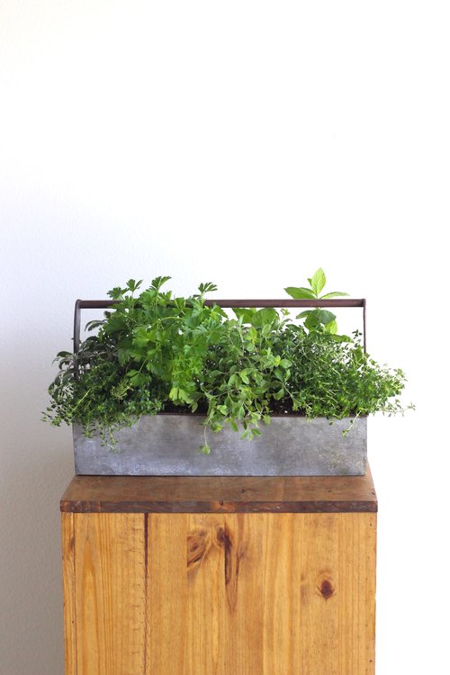 Chef's Garden Herbs